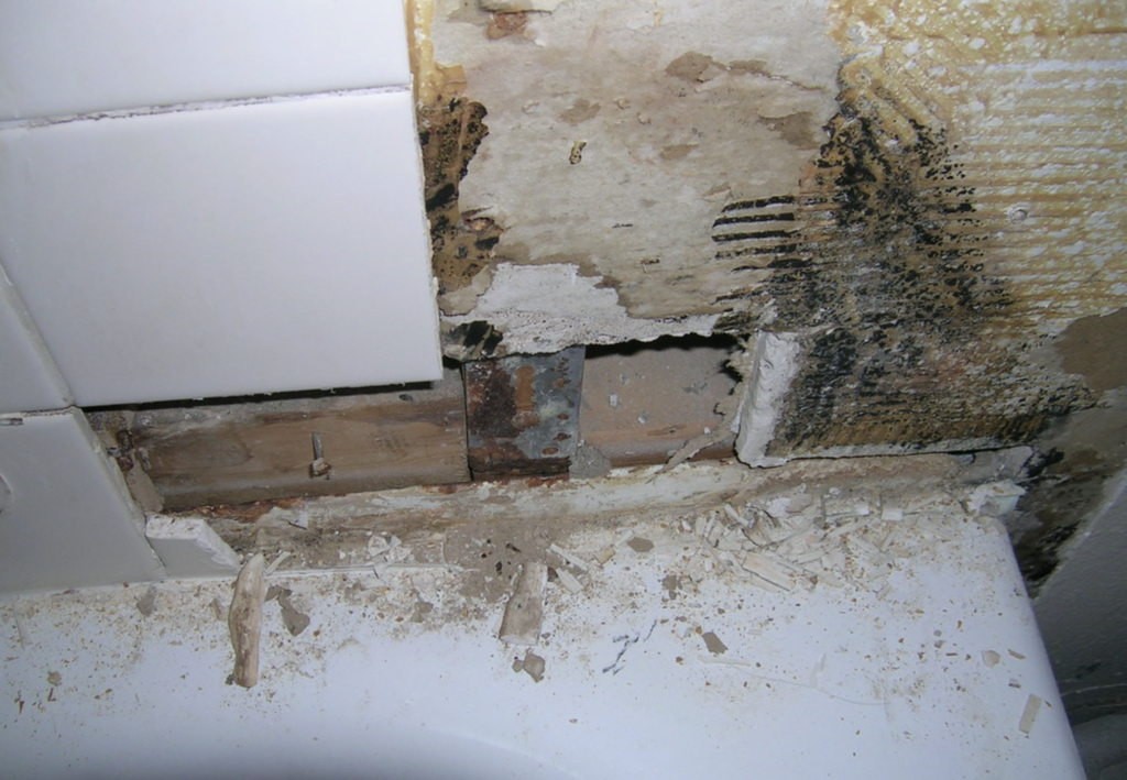 mold remediation